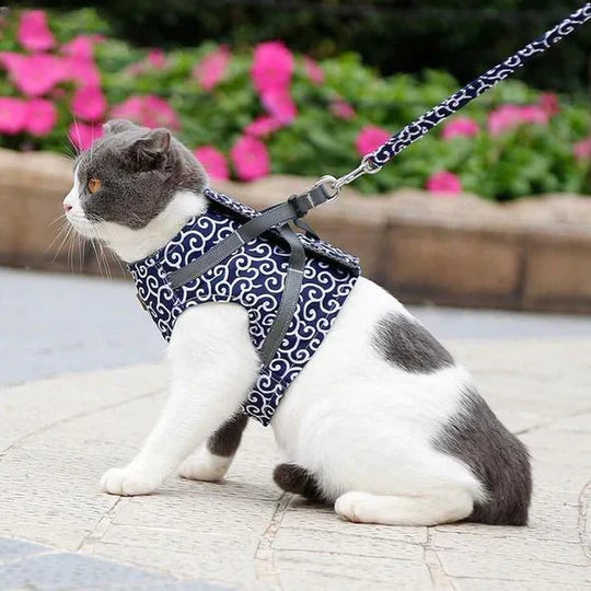 High-quality cat harness & leash designed for safe, comfortable outdoor walking adventures.