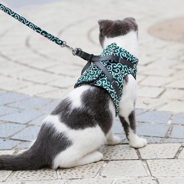 Pet accessories: Breathable cat harness, adjustable for a secure fit with a matching leash.