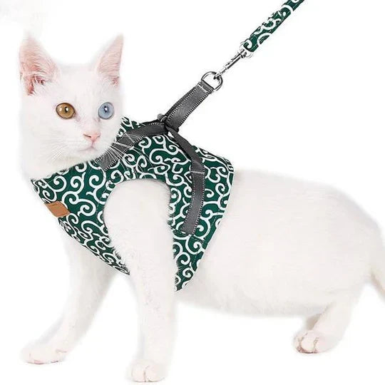 Feline walking harness and leash for outdoor cats, offering comfort and security.