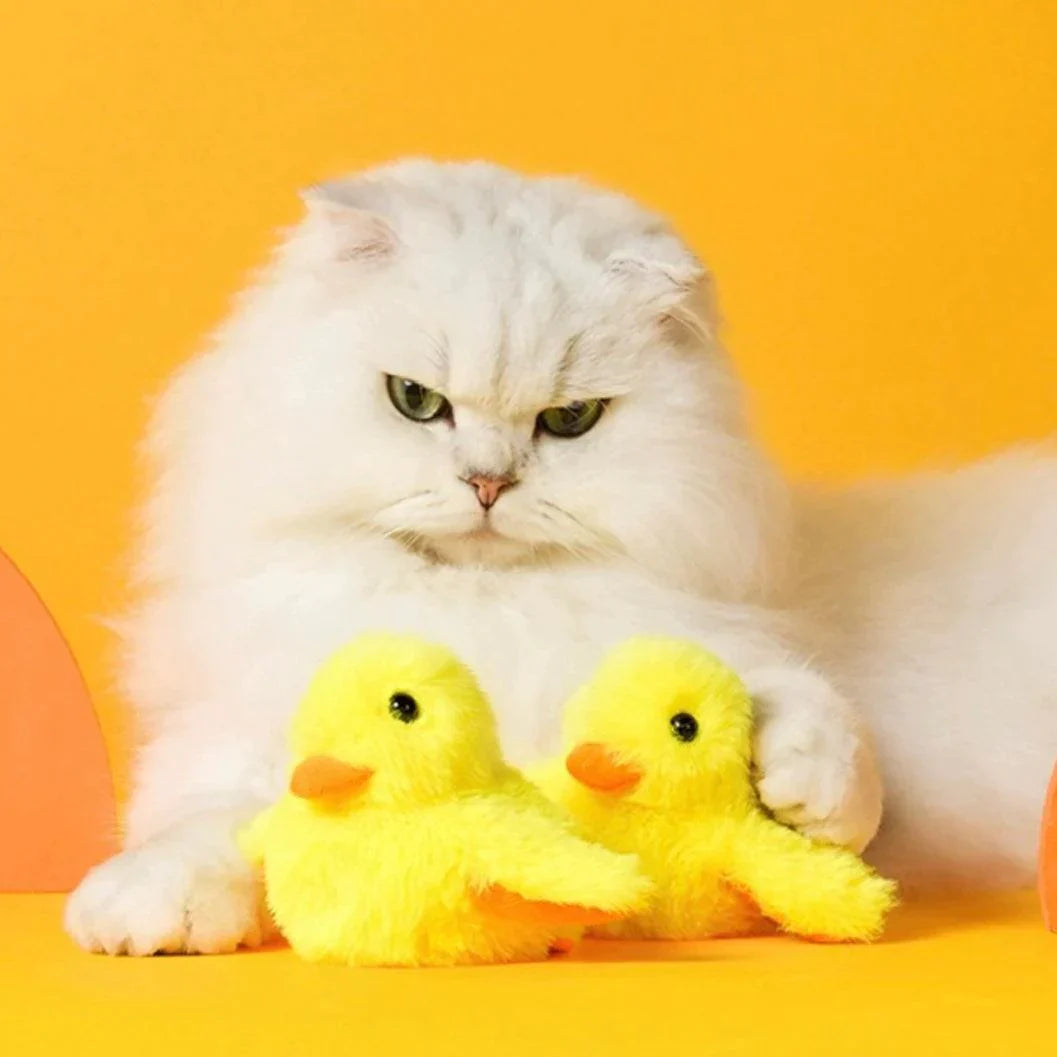 Interactive flapping duck cat toy for feline play & mental stimulation. USB rechargeable pet enrichment.