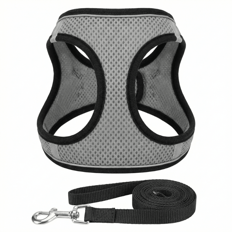 Escape-proof cat harness, adjustable for a perfect comfort fit. Breathable pet harness for safe outdoor feline walks.