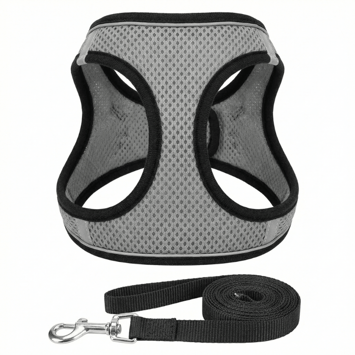 Escape-proof cat harness, adjustable for a perfect comfort fit. Breathable pet harness for safe outdoor feline walks.