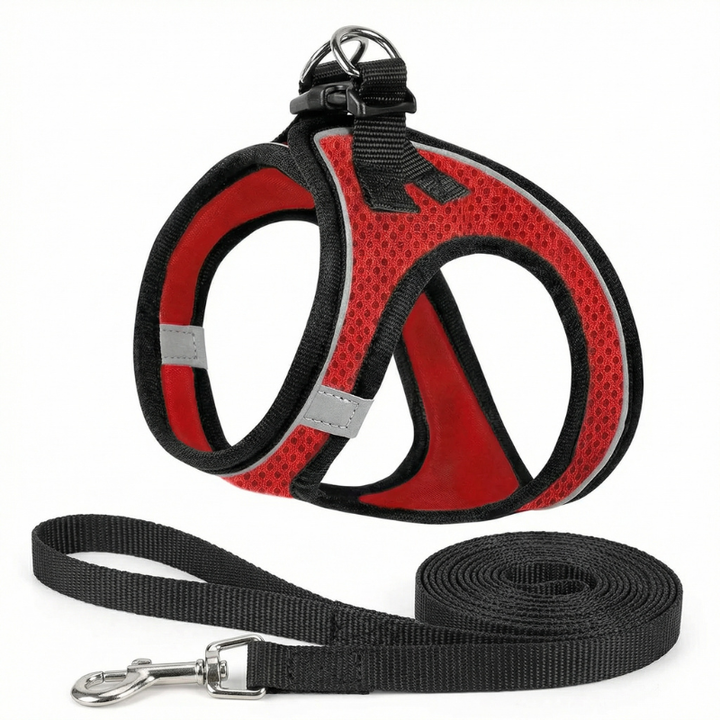 Durable cat harness for safe outdoor walks. Adjustable, breathable, and escape-proof comfort-fit for your feline pet.