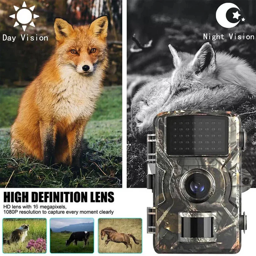Durable outdoor trail camera. Reliable & weatherproof for 24/7 wildlife monitoring with night vision.