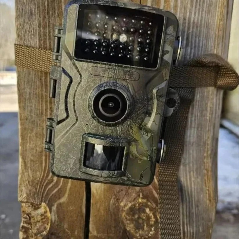 High-definition wildlife camera with night vision, weatherproof design for outdoor nature observation.