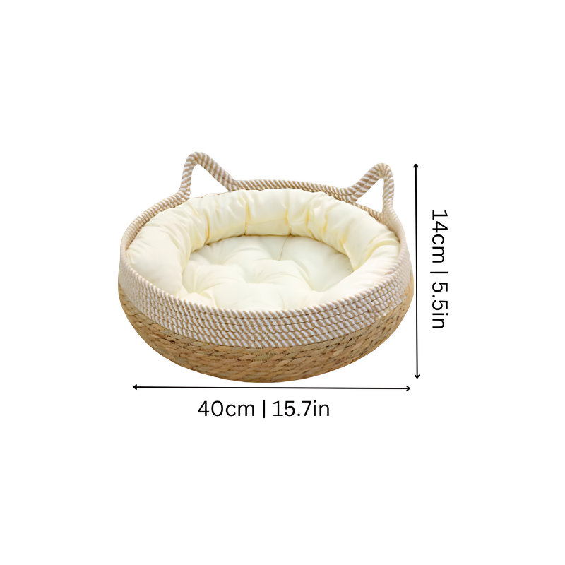 Stylish cat furniture: a comfy cat bed and sisal scratcher with a built-in play ball.