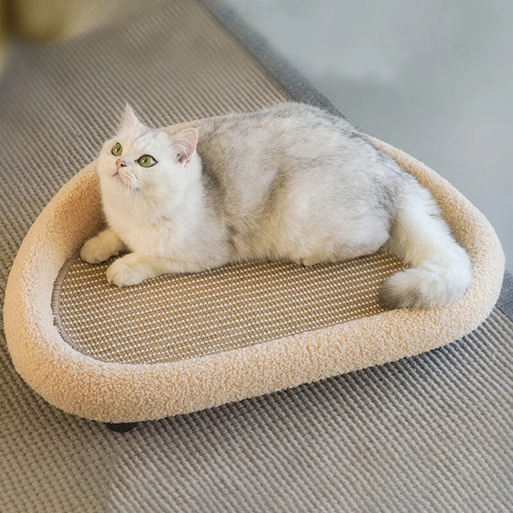 Cozy cat bed & scratcher lounge, perfect for napping & scratching. Durable feline furniture protector.