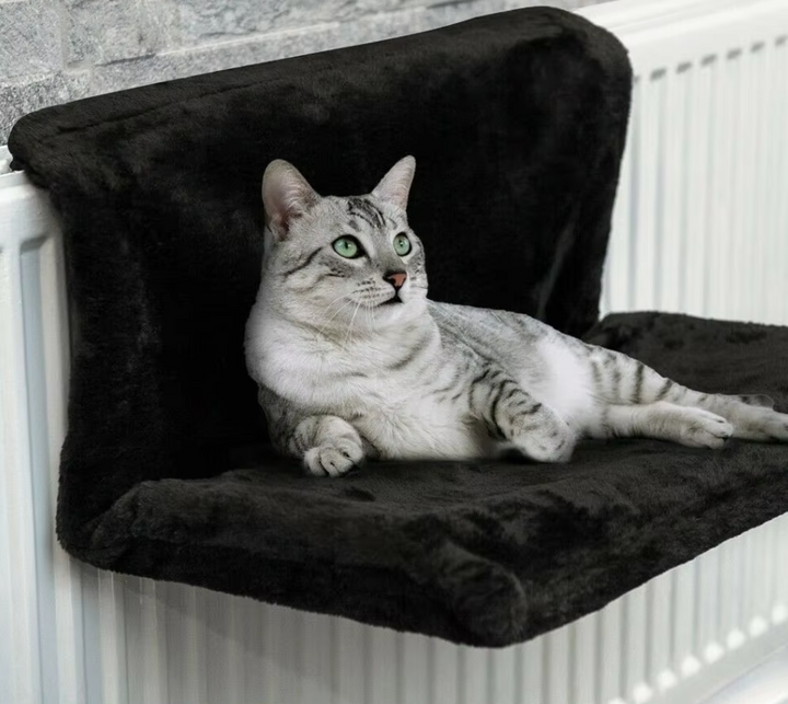 Cozy cat hammock, a stable window perch perfect for feline sunbathing & relaxation.