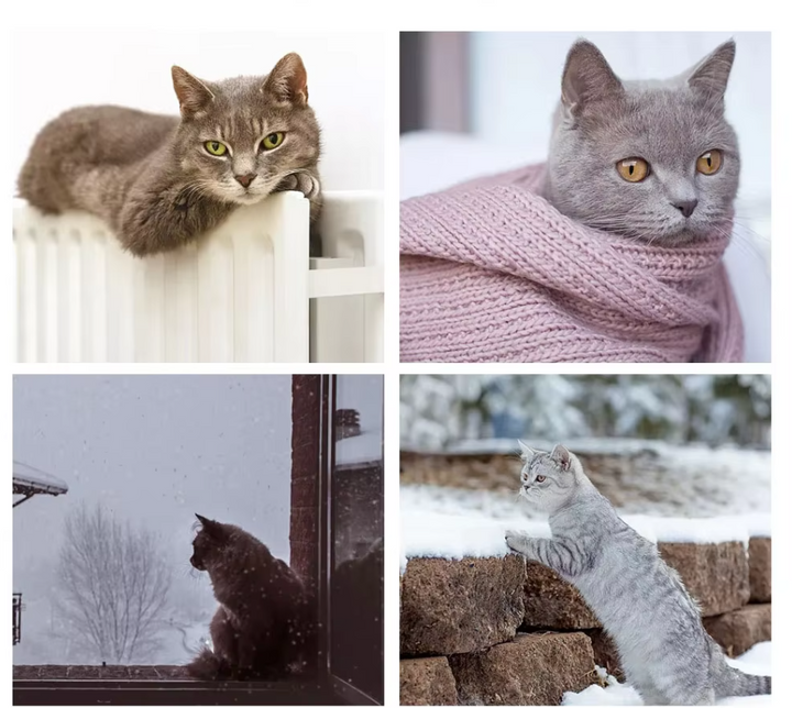 Soft fabric cat hammock bed, securely attaching to windows for a relaxing pet perch.