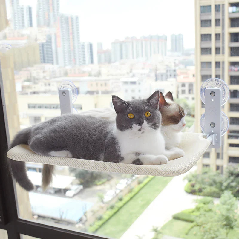 Cozy cat window hammock with sturdy suction cups, providing an elevated perch for feline comfort and sunny views.