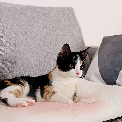 Cozy self-heating cat bed mat provides ultimate warmth & comfort for felines. Washable pet mat for happy cats.