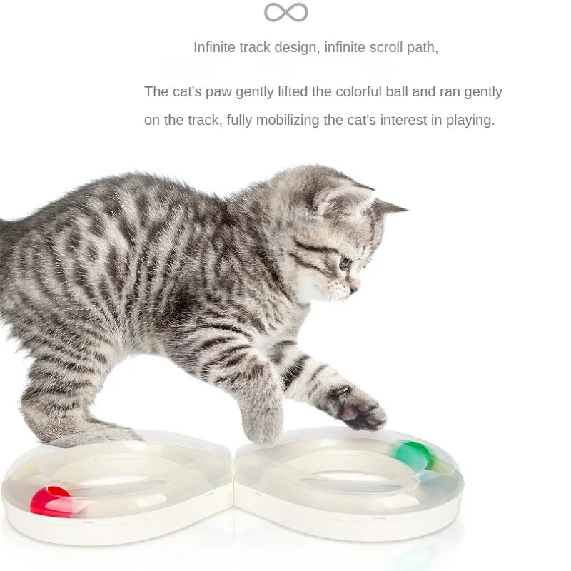 Close-up of a white and blue infinity ball track cat toy, perfect for pet play & activity.