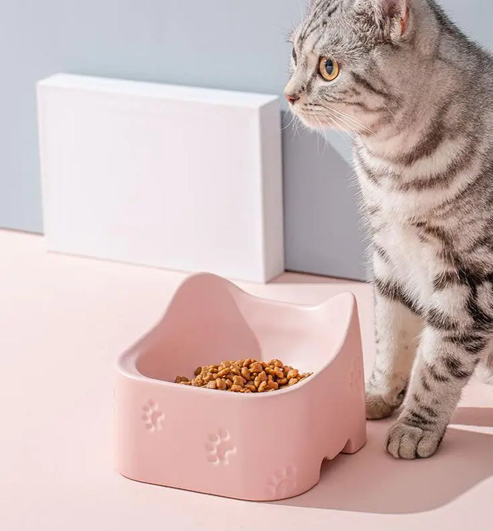 Non-slip raised cat bowl ensures stable feeding. Durable pet feeder, great for active cats & messy eaters.