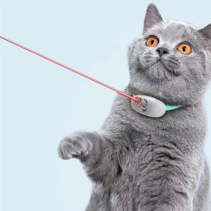 Happy cat chasing a red laser dot, an interactive toy promoting healthy pet exercise and fun activity.