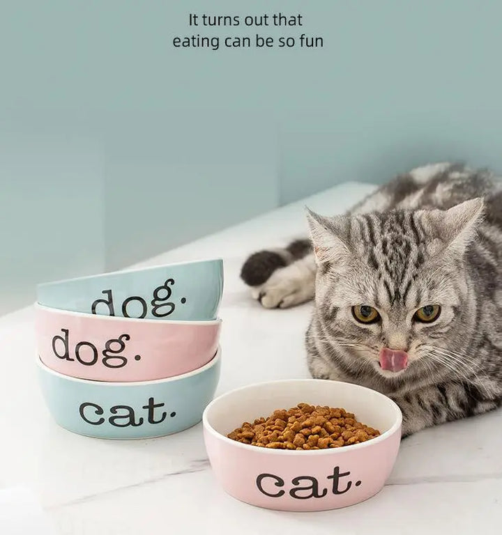 Stylish ergonomic raised cat feeding bowl, non-slip design. Essential cat accessory for dining comfort.