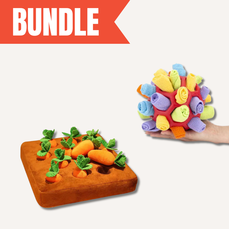 Dog's Sniff & Search Interactive Enrichment Toy Set with various puzzle toys for mental stimulation.