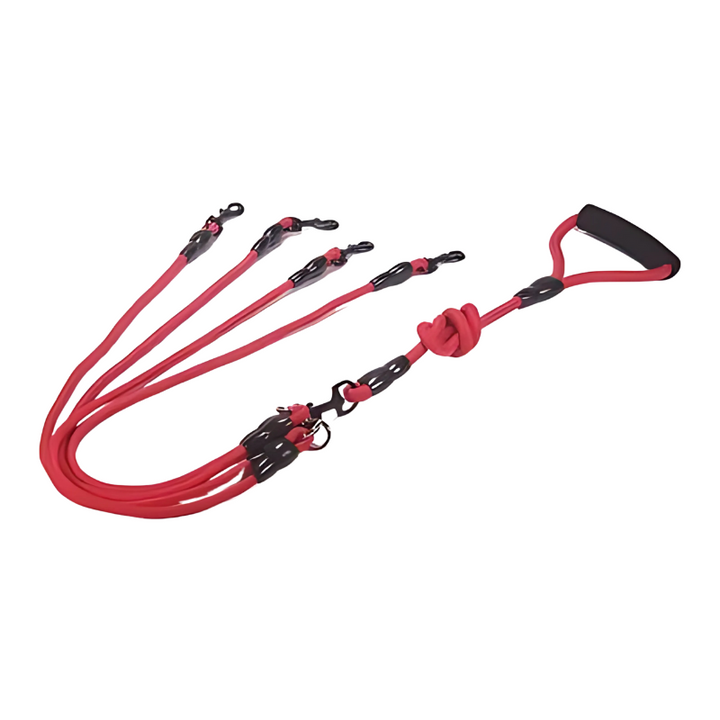 DuoGrip dual dog leash for walking two dogs. Provides a comfortable, tangle-free pet walking experience.