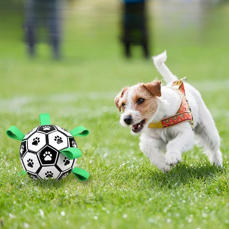 Durable dog soccer ball with easy-grab tabs for interactive outdoor fetch and water play.