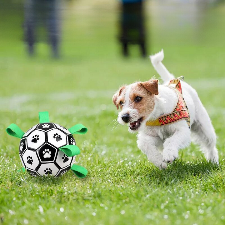 Durable dog soccer ball with easy-grab tabs for interactive outdoor fetch and water play.