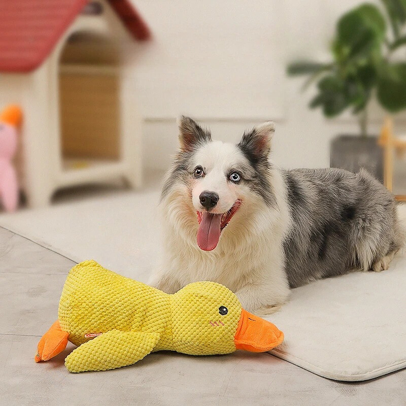 Durable yellow duck dog chew toy, perfect for dental health. Machine washable & plush pet toy for all dogs.