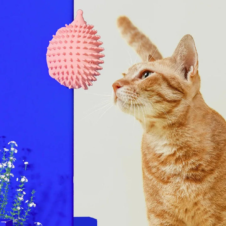 Pet supplies: Catnip UFO toy. Engaging silicone scratching toy for active indoor playtime.