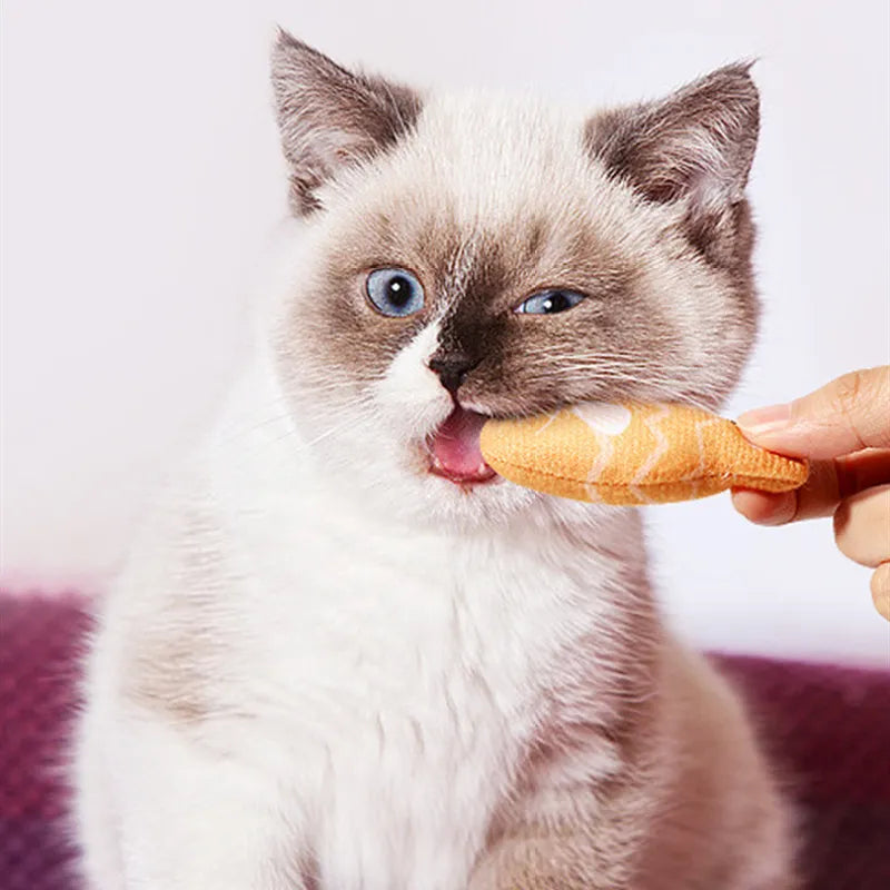 Vibrant fish cat toys, designed for interactive play, chewing, and promoting feline dental health.