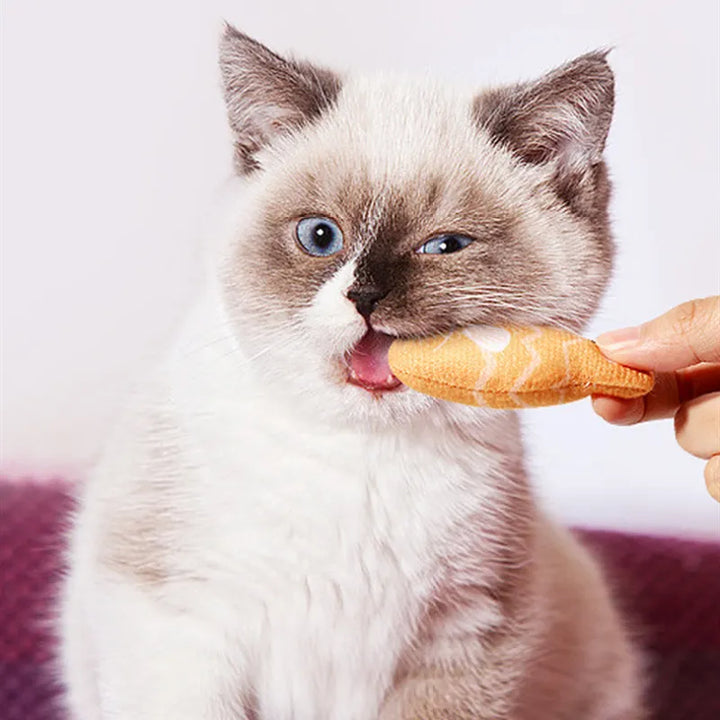 Vibrant fish cat toys, designed for interactive play, chewing, and promoting feline dental health.