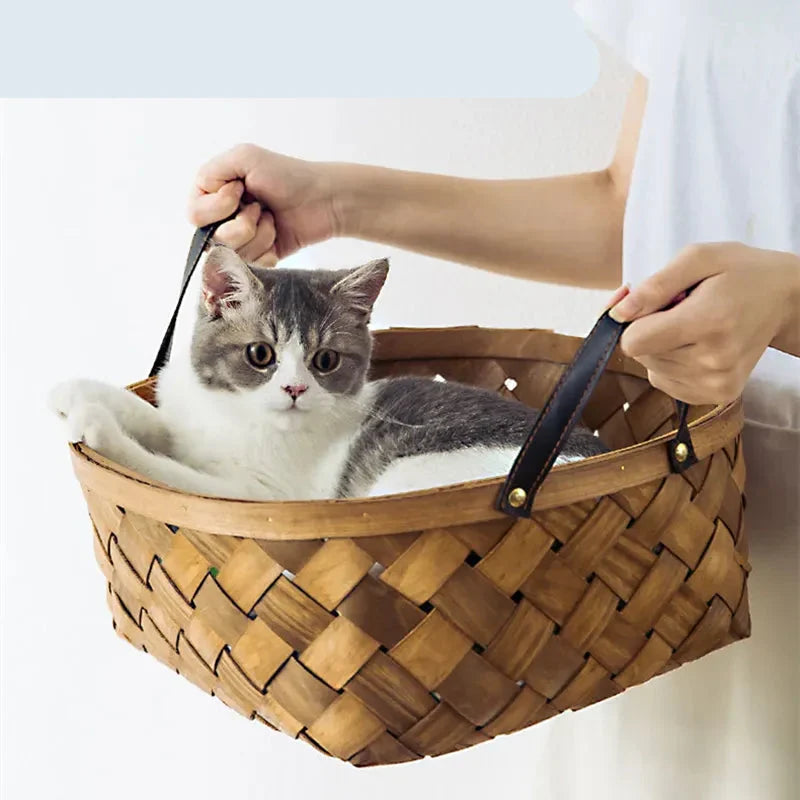 Vibrant tropical monstera cat bed, a soft pet floor cushion. Ideal cat nest & pet furniture for any room.