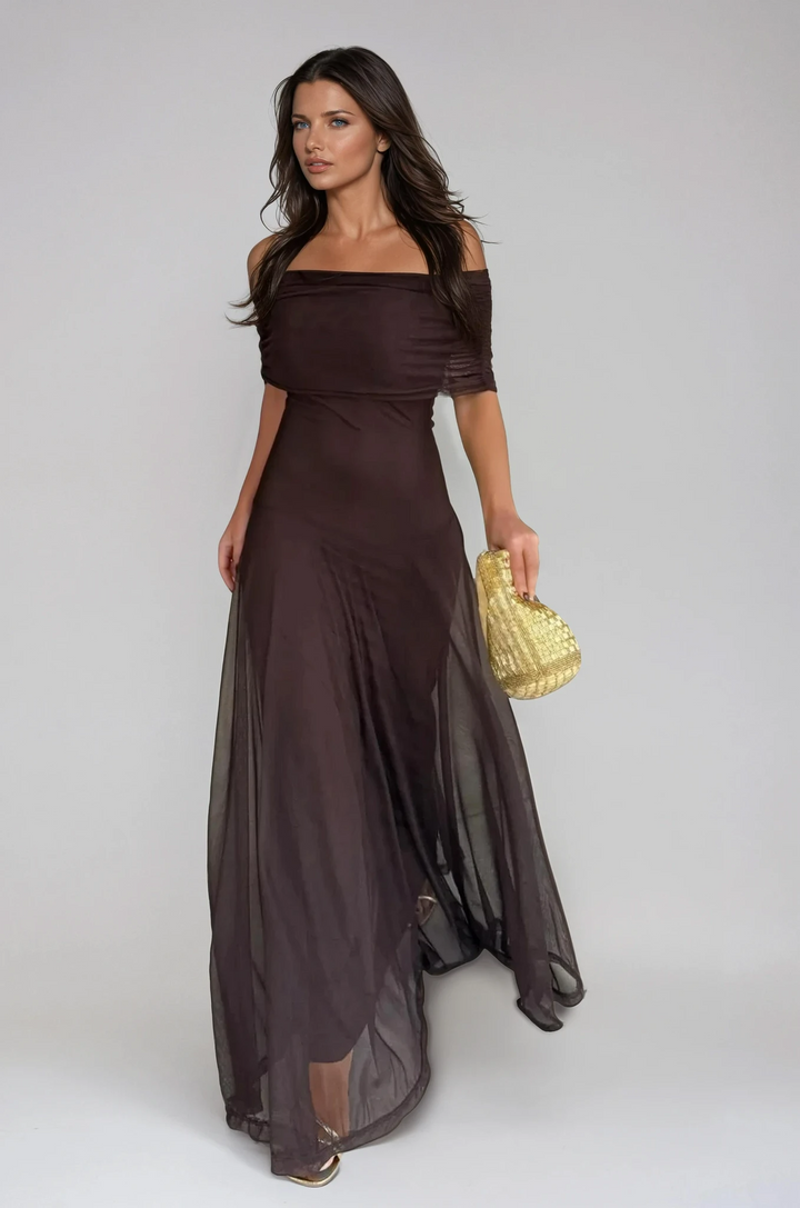 Elegant women's brown maxi wedding guest dress with delicate mesh overlay for formal occasions.