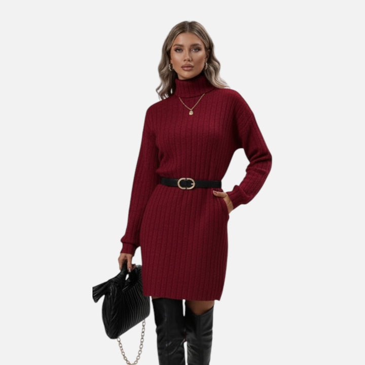 Versatile women's midi dress with turtleneck and long sleeves, suitable for formal or casual winter wear.