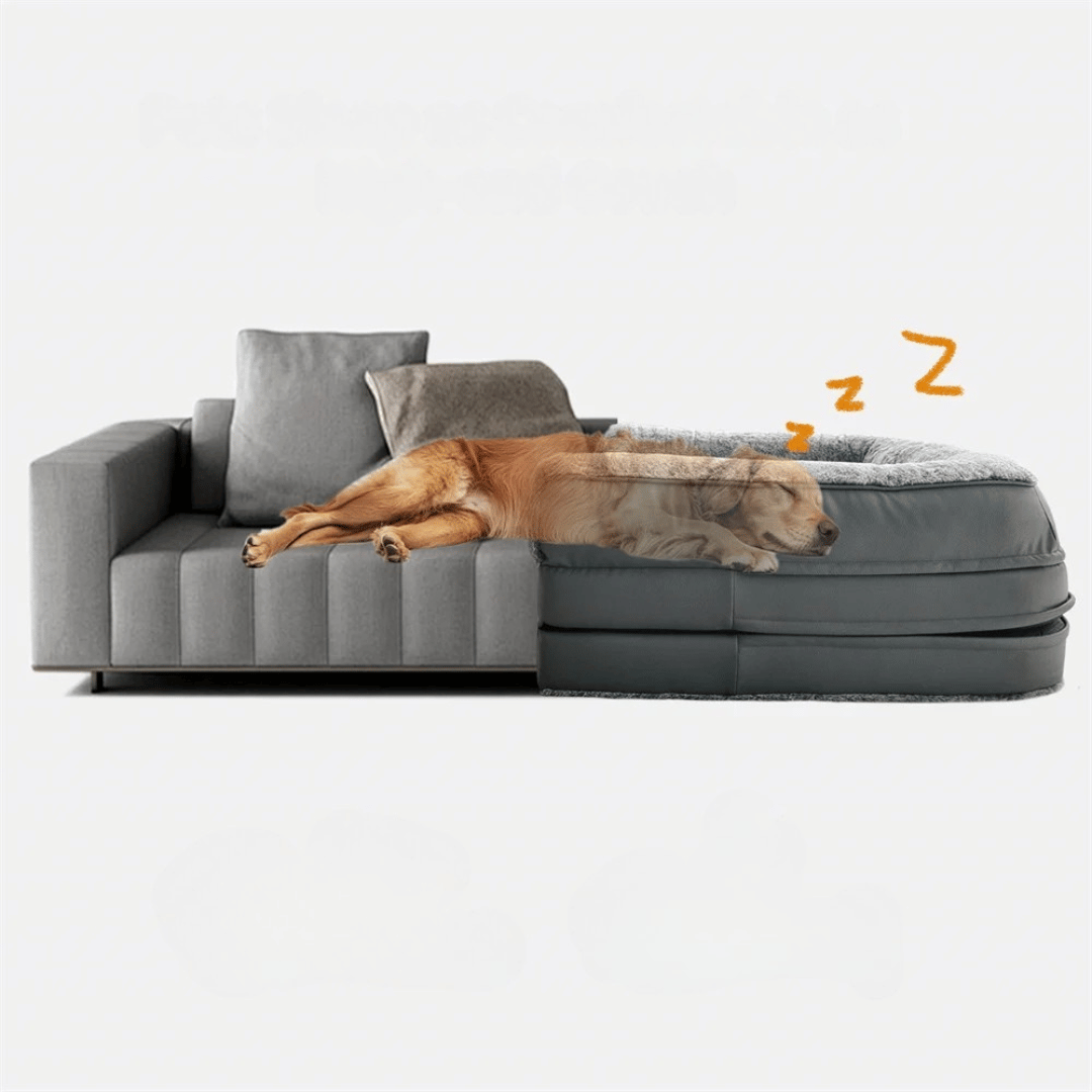 Foldable calming pet bed with plush bolsters, ideal for bonding with pets. Lightweight, spacious, and easy to maintain.