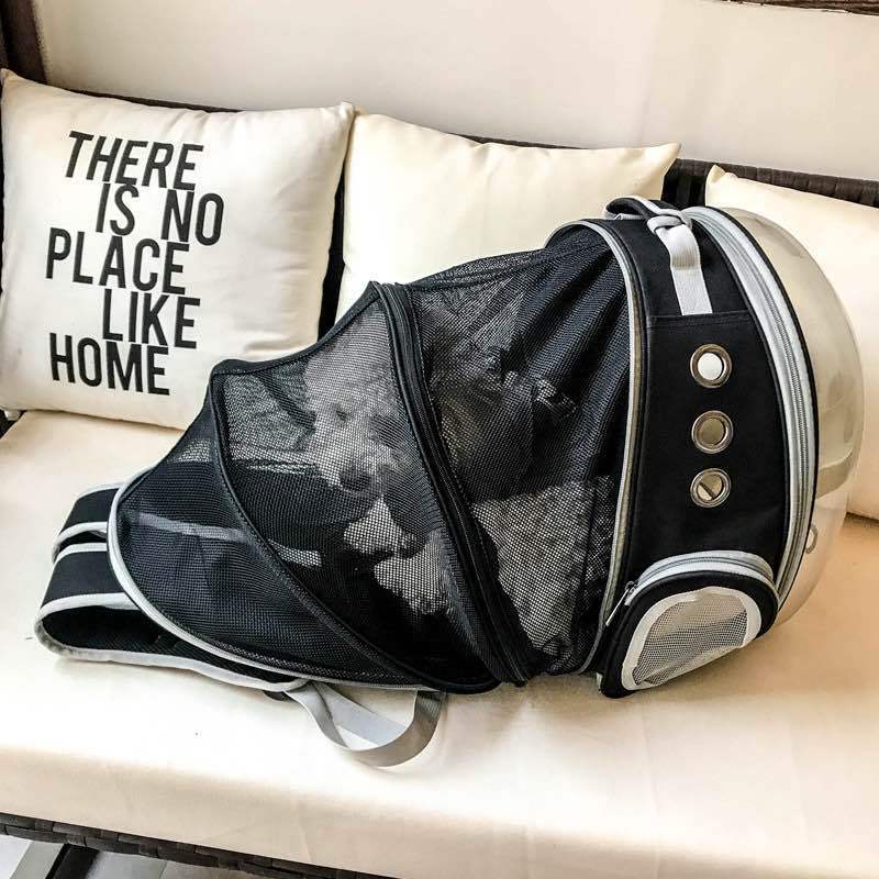 Foldable pet backpack with ventilation, transparent front, mesh panels, adjustable straps, and storage pockets for travel.