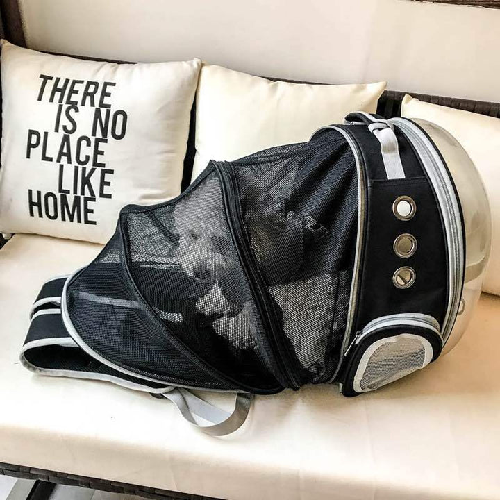 Foldable pet backpack with ventilation, transparent front, mesh panels, adjustable straps, and storage pockets for travel.