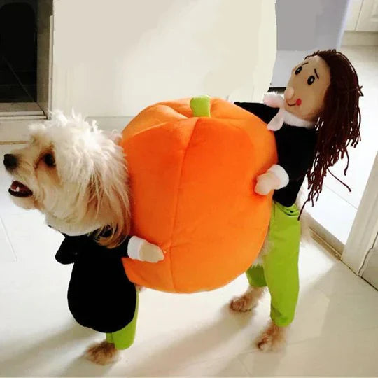 Funny dog pumpkin Halloween costume with 3D design, adjustable fit, and plush figure for small to medium dogs.