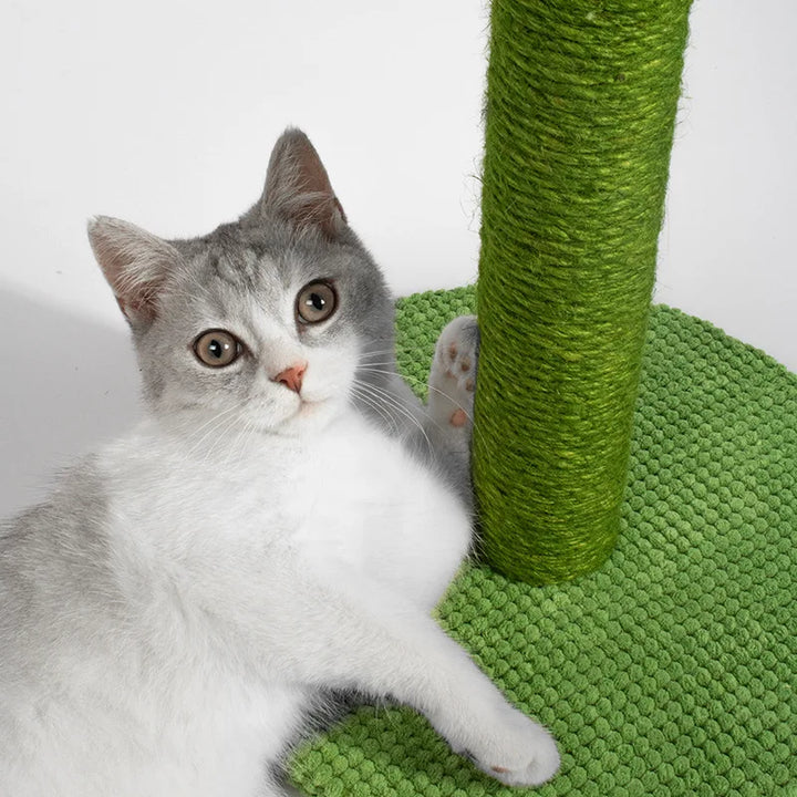 Happy cat scratching a vibrant green cactus sisal post, promoting healthy paws & engaging play.
