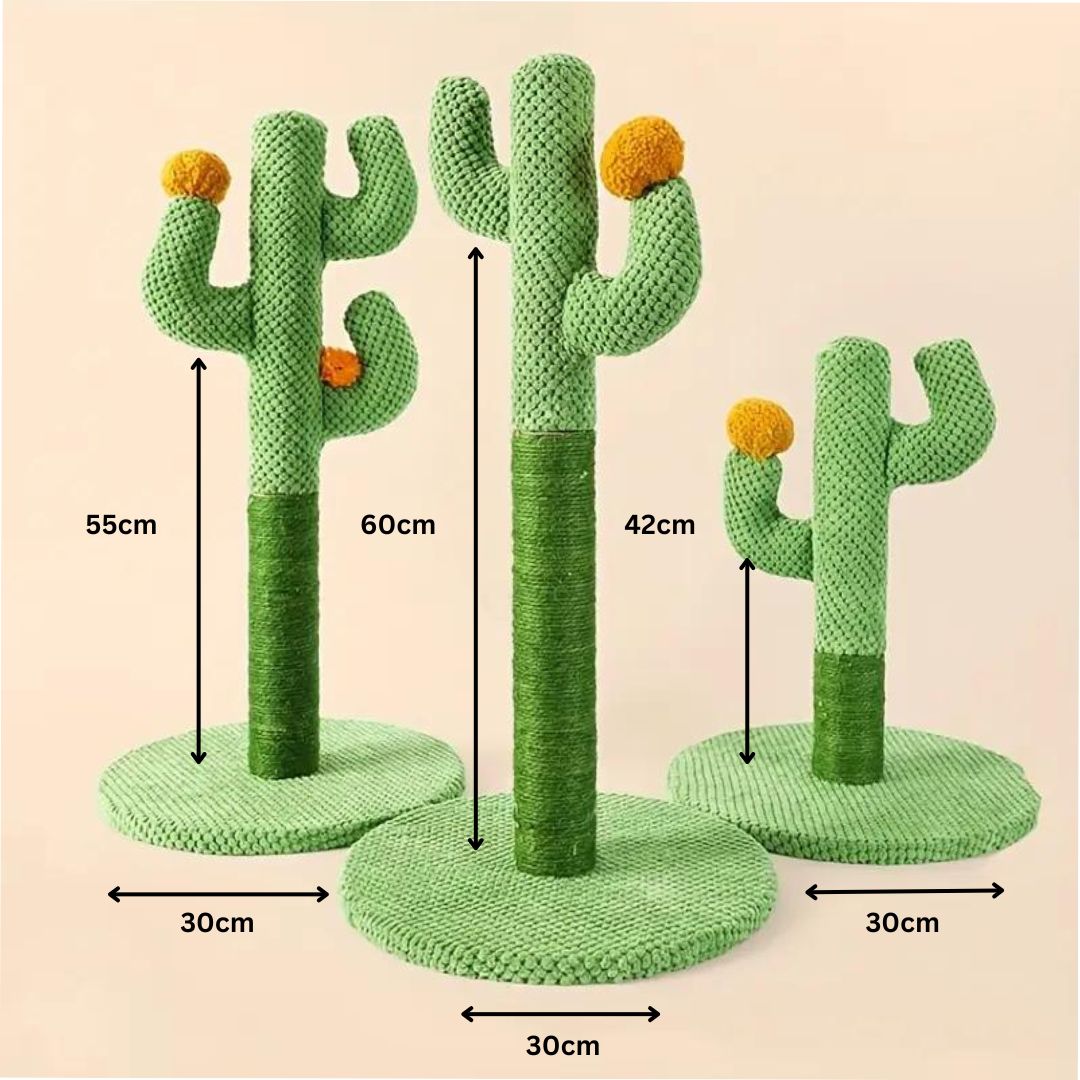 Feline accessory: cactus sisal scratching post, a fun way for cats to care for their claws & stay active.