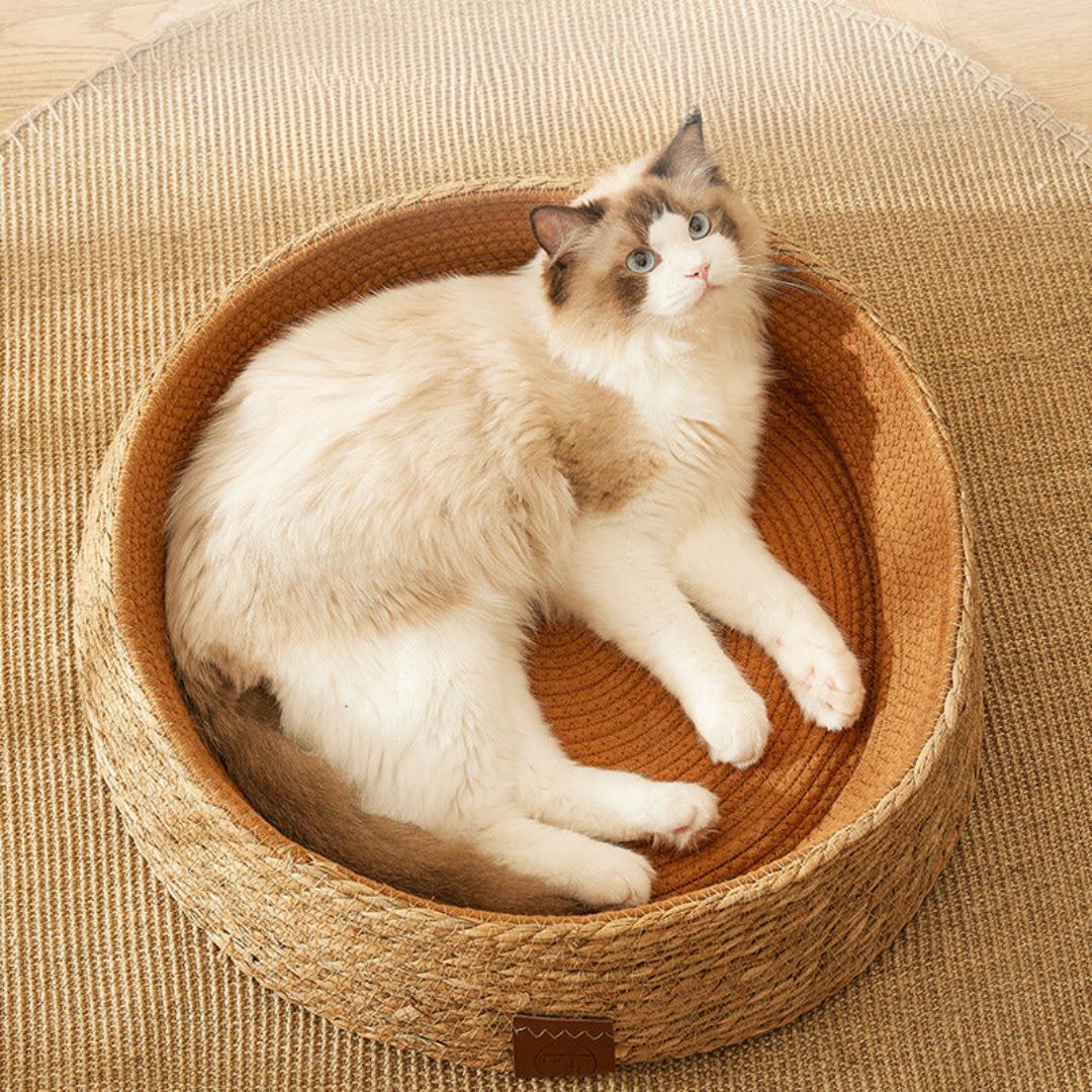 Hand-woven rattan cat bed with integrated scratching post. Natural, durable pet furniture for comfort & play.