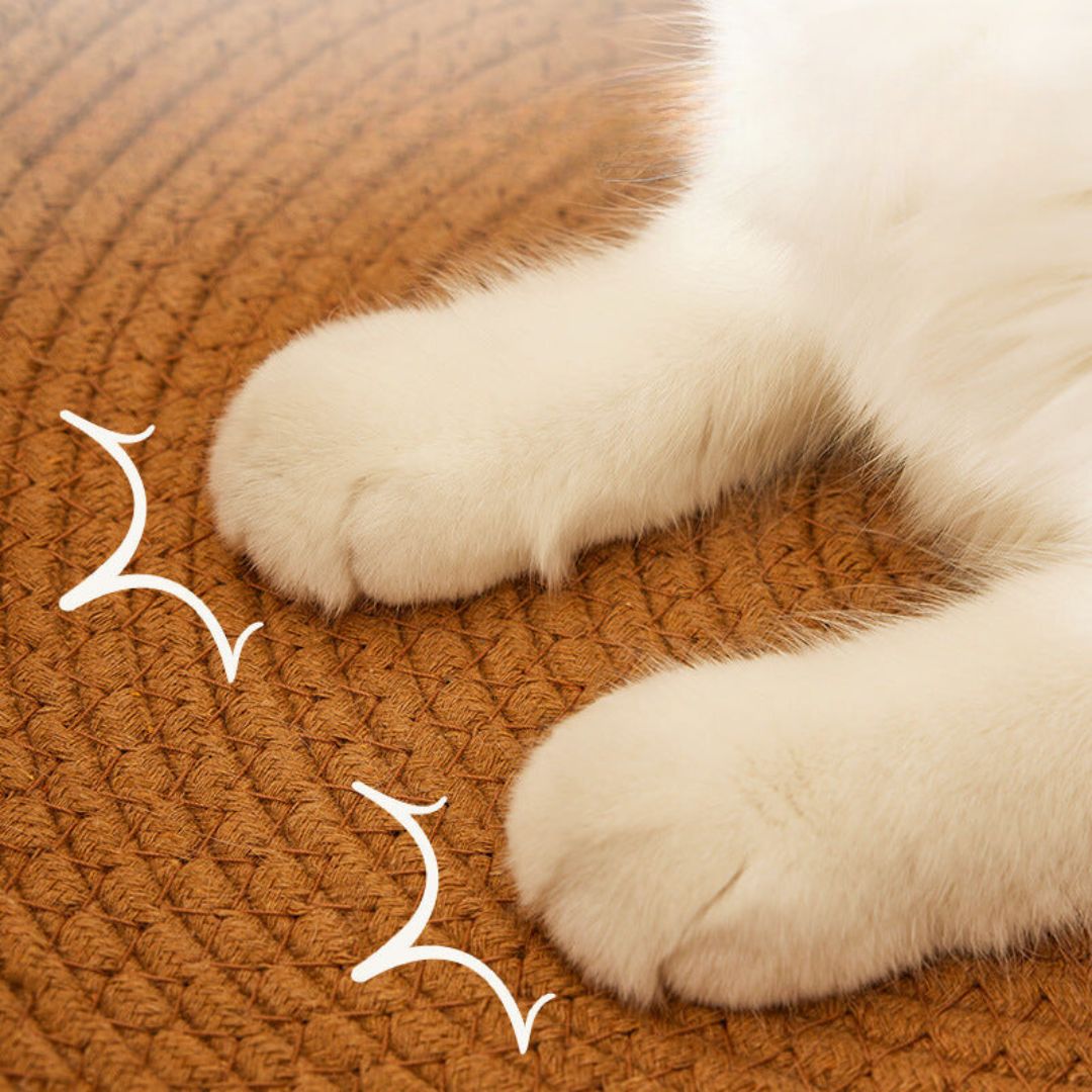 Elegant hand-woven rattan cat bed, a natural & durable pet accessory for feline scratching and rest.