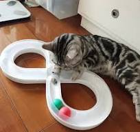 Cat playing with the white & blue interactive infinity ball track toy for endless feline fun.