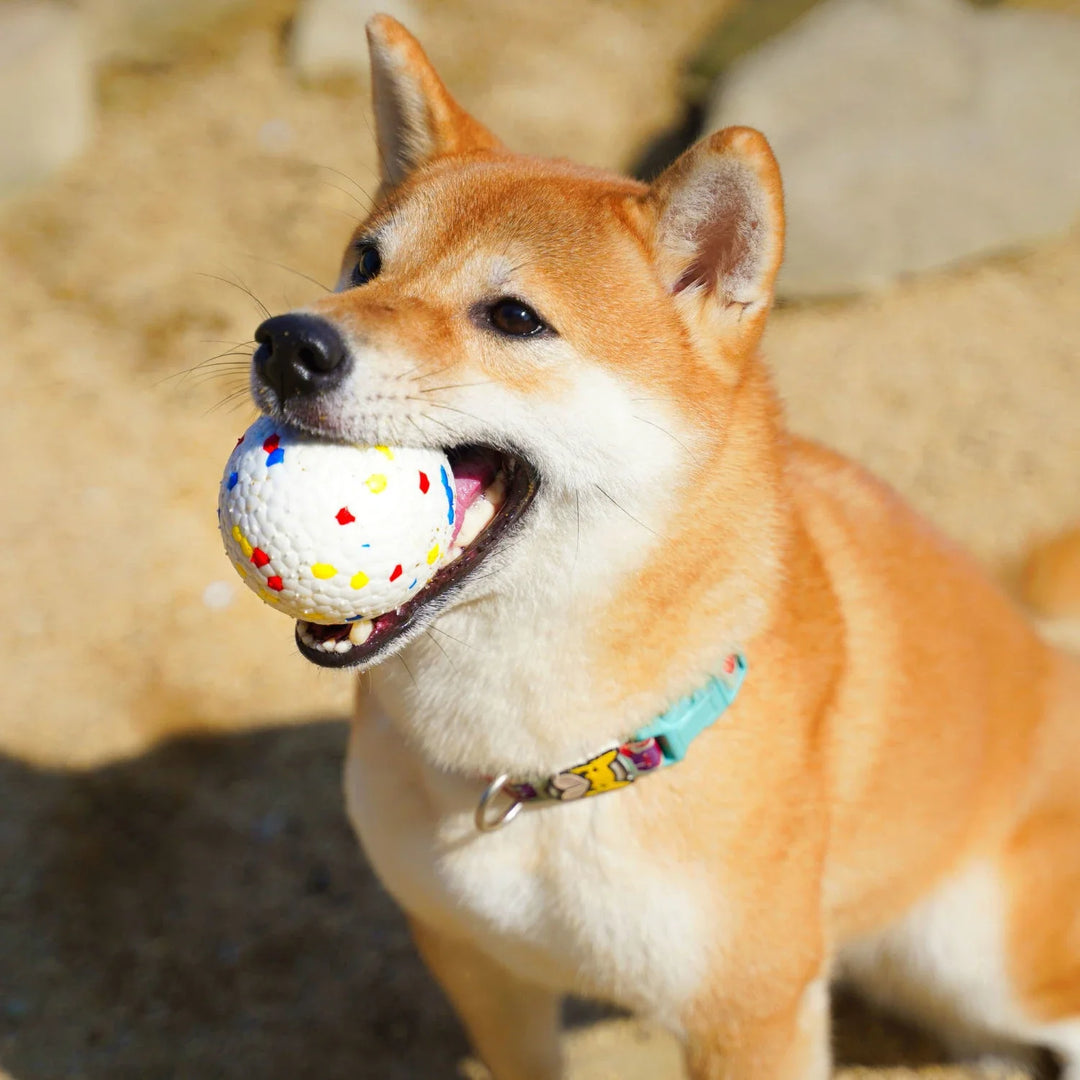 Indestructible dog chew ball for tough chewers, perfect for interactive fetch and durable puppy play. Eco-friendly pet toy.