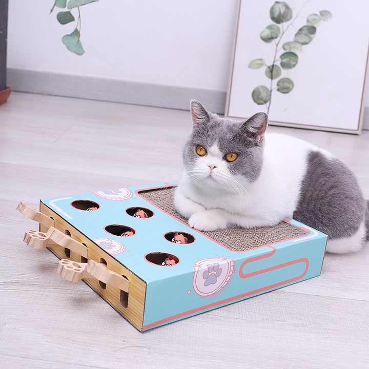 Interactive 3-in-1 cat scratcher, play tunnel & post. Durable corrugated cardboard toy for feline activity & entertainment.