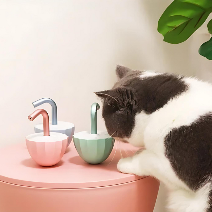 Interactive automatic cat laser toy projecting red dot for stimulating feline play and exercise, relieving boredom.