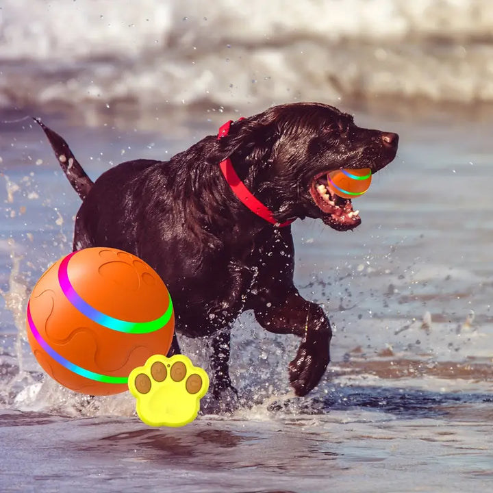 Interactive ball toy for dogs and cats with bright colors, automatic rolling, keeping pets active and entertained.