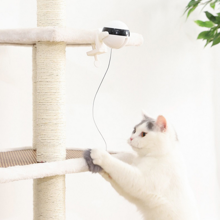 Interactive cat ball lifter toy for playful felines, automatic motion sensor provides enrichment & boredom relief.