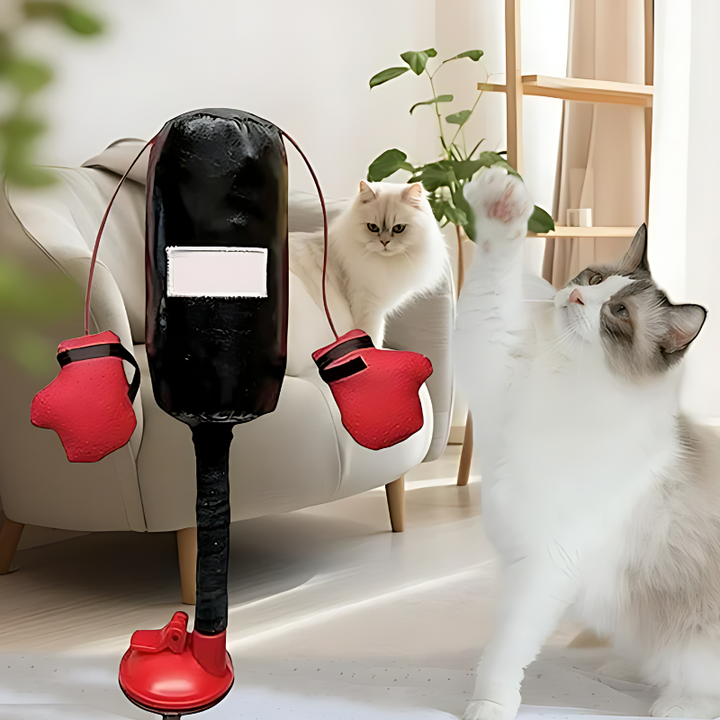Interactive cat boxing toy for feline exercise and fun. Durable pet toy providing mental stimulation for indoor cats.