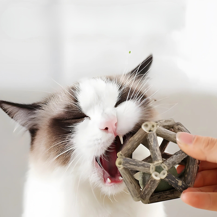 Interactive cat chew toy with catnip & silvervine for dental health & stress relief. Organic pet toy for digestion.