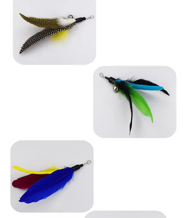 Exciting interactive cat play toy: fishing rod with interchangeable feather refills.