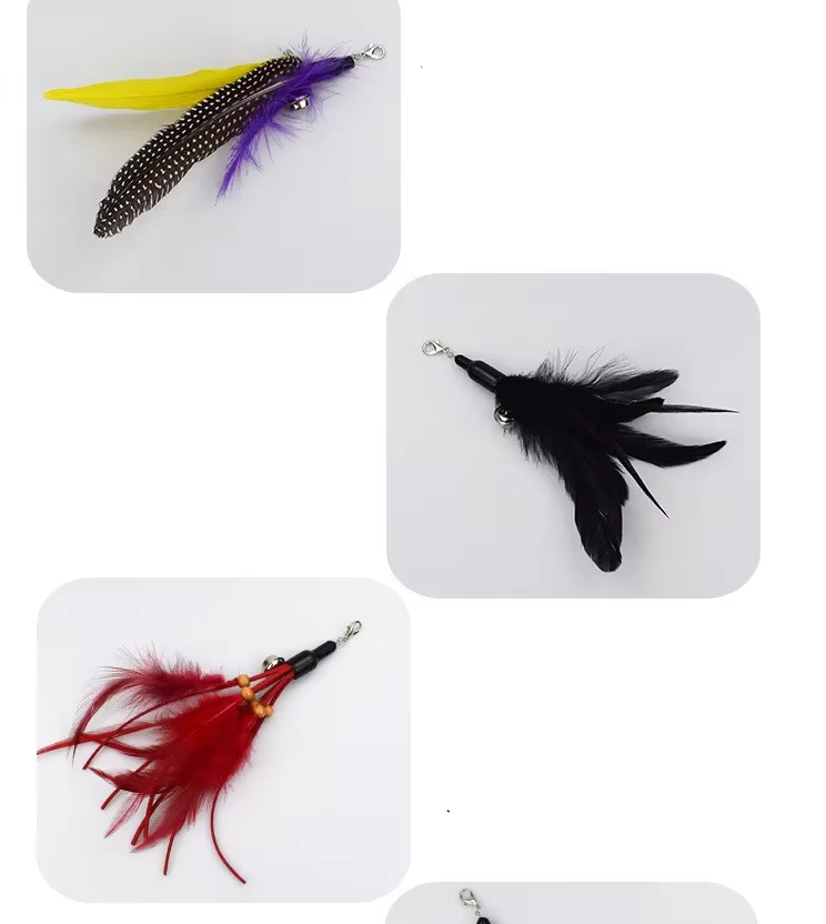 Stimulate hunting instincts with an interactive cat fishing rod and feather.