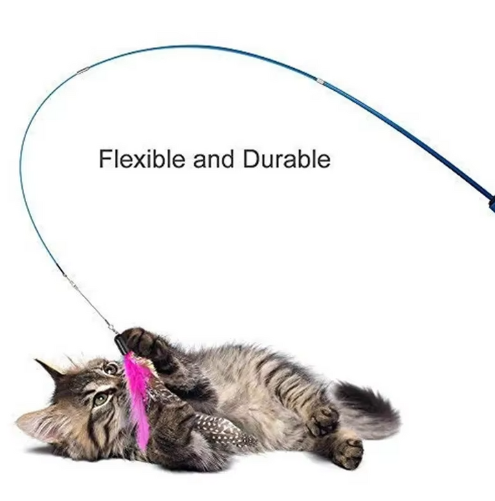 Feline enrichment with an interactive cat fishing rod and natural feather toy.