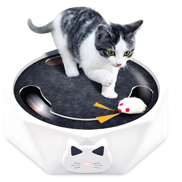 Interactive cat mouse toy with scratch pad & lounge, providing feline fun & stress relief. Durable ABS plastic pet activity.